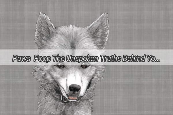 Paws  Poop The Unspoken Truths Behind Your Dogs Digestive Adventures